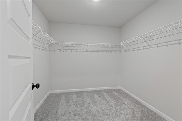 141 Wingate Dr, Auburn, GA 30680 - spacious closet with carpet floors
