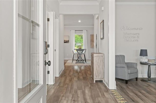141 Wingate Dr, Auburn, GA 30680 - hall featuring ornamental molding, wood finished floors, and recessed lighting