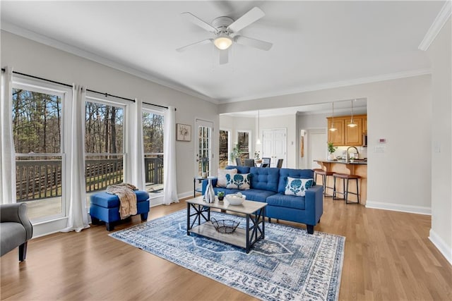 living room featuring ornamental molding, sink, ceiling fan, and light wood-type flooring