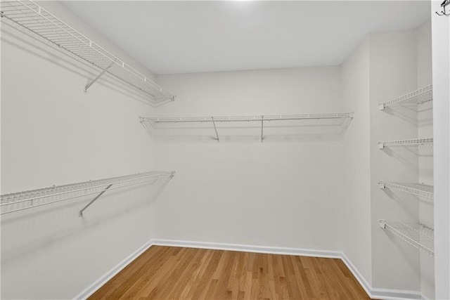 walk in closet featuring wood-type flooring