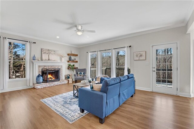 dining area featuring ornamental molding, plenty of natural light, and light hardwood / wood-style floors