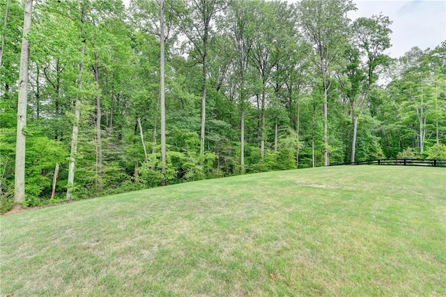 8125 Beryl Overlook, Gainesville, GA 30506 - view of yard with fence