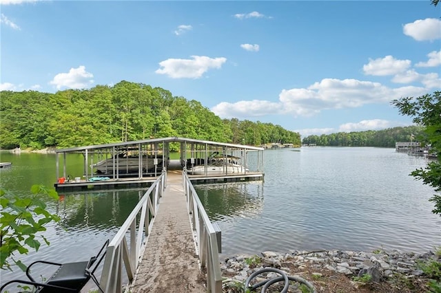 8125 Beryl Overlook, Gainesville, GA 30506 - dock area featuring a water view and a view of trees