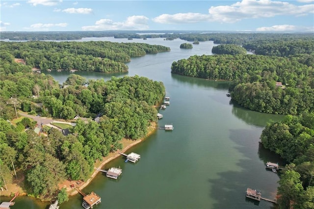 8125 Beryl Overlook, Gainesville, GA 30506 - bird's eye view of a heavily wooded area and a large body of water