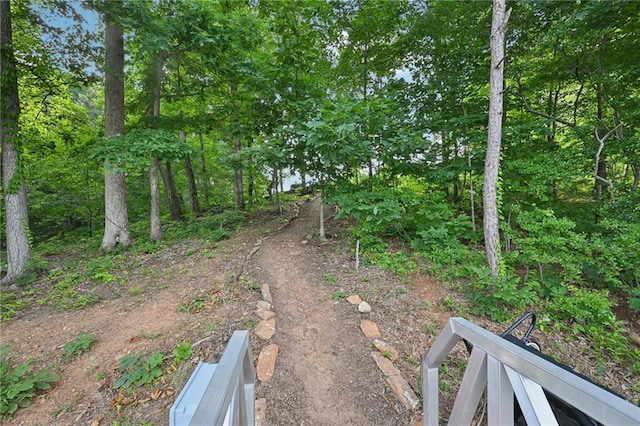 8125 Beryl Overlook, Gainesville, GA 30506 - view of yard