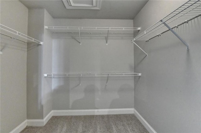 4232 Perimeter Park E Unit 110, Atlanta, GA 30341 - spacious closet featuring carpet flooring