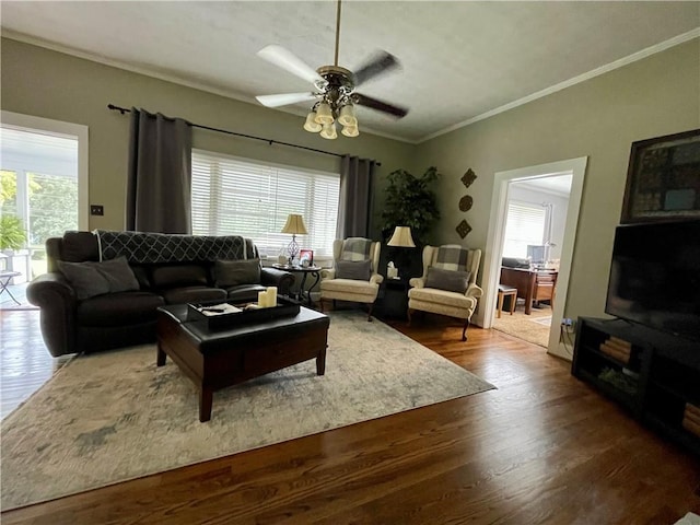 living room with wood-type flooring, ceiling fan, and crown molding