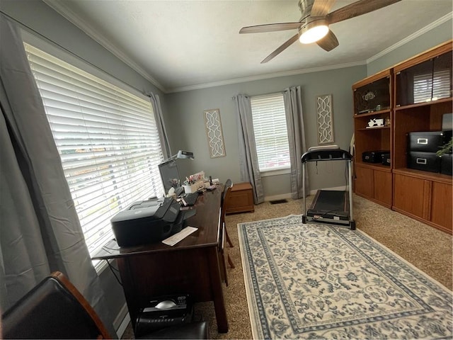 carpeted home office with ornamental molding, a wealth of natural light, and ceiling fan