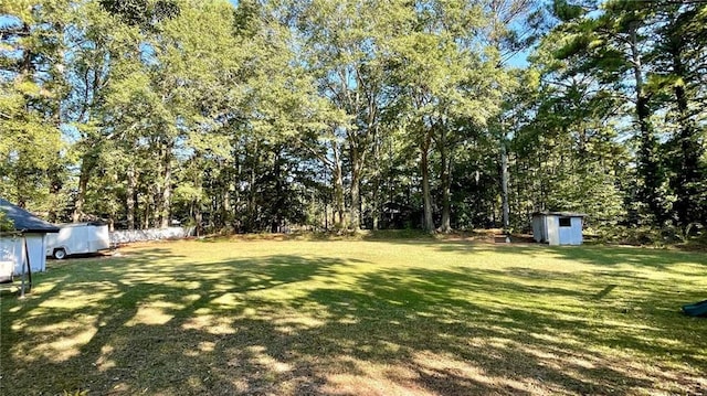 view of yard with a storage shed