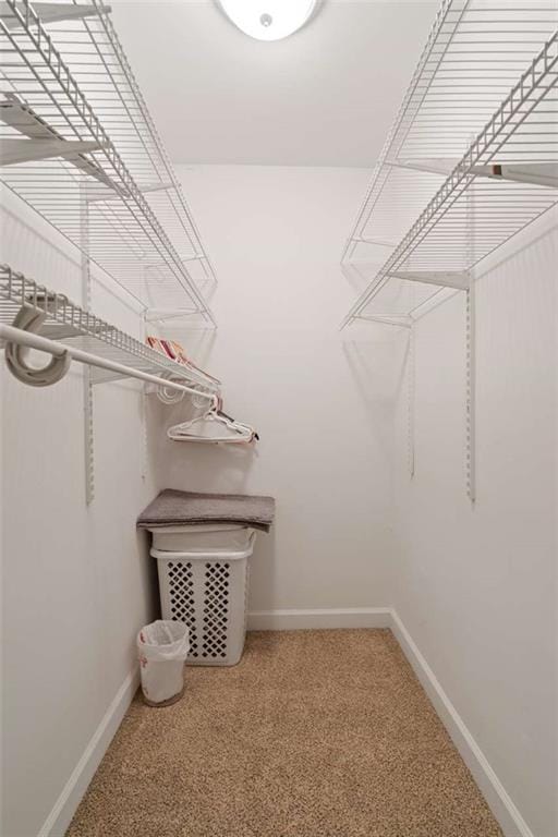 spacious closet with carpet floors