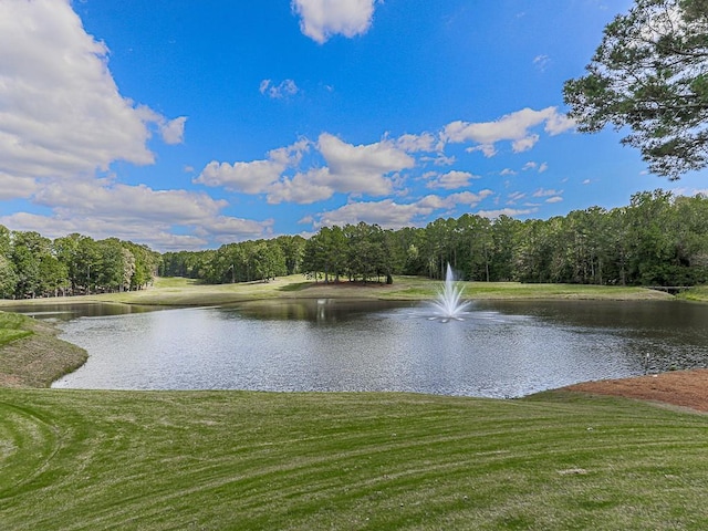 view of water feature featuring a wooded view