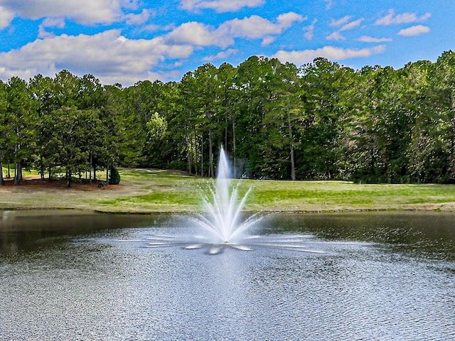 water view