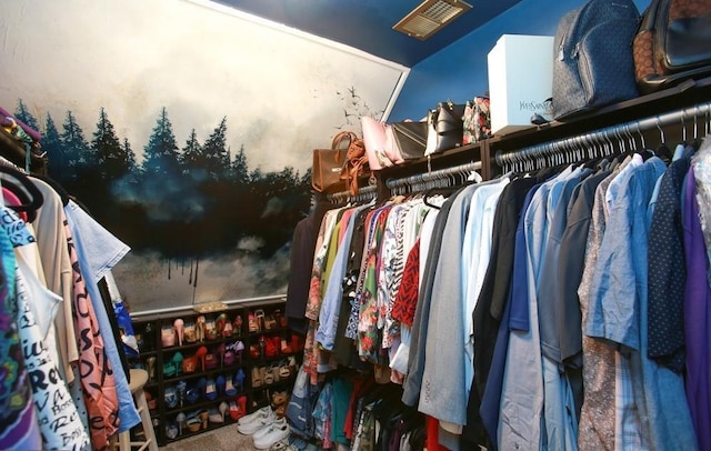 view of spacious closet