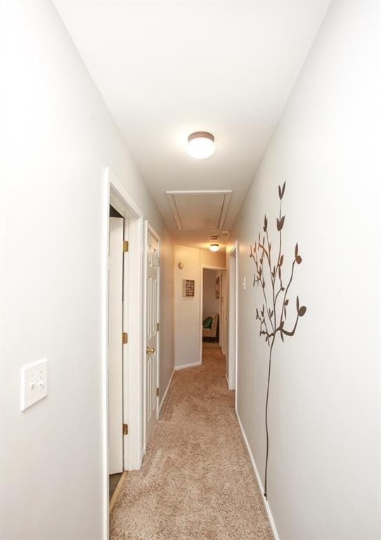 hallway featuring baseboards, attic access, and light carpet