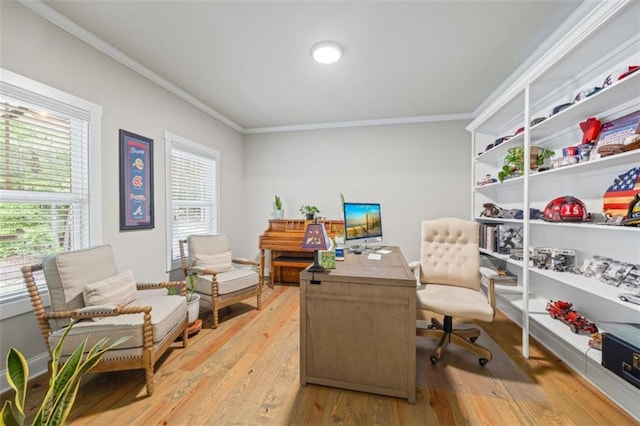 726 Swilling Rd, Eastanollee, GA 30538 - office space with ornamental molding, light wood-type flooring, and baseboards