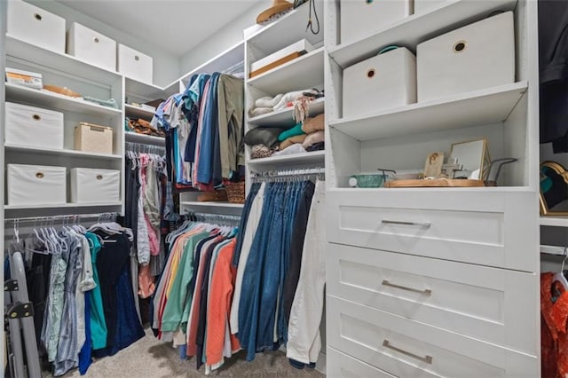 726 Swilling Rd, Eastanollee, GA 30538 - walk in closet featuring carpet floors