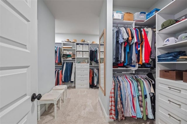 726 Swilling Rd, Eastanollee, GA 30538 - walk in closet with carpet floors