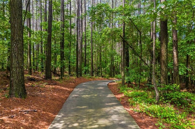 726 Swilling Rd, Eastanollee, GA 30538 - view of property's community with a wooded view