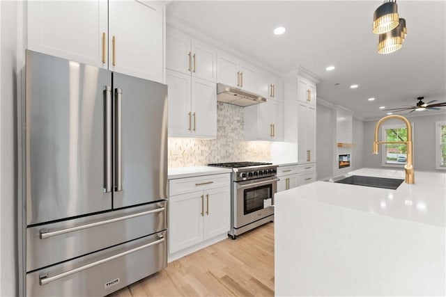 3932 Boston Common St, Suwanee, GA 30024 - kitchen featuring premium appliances, under cabinet range hood, white cabinets, recessed lighting, and light wood-style flooring
