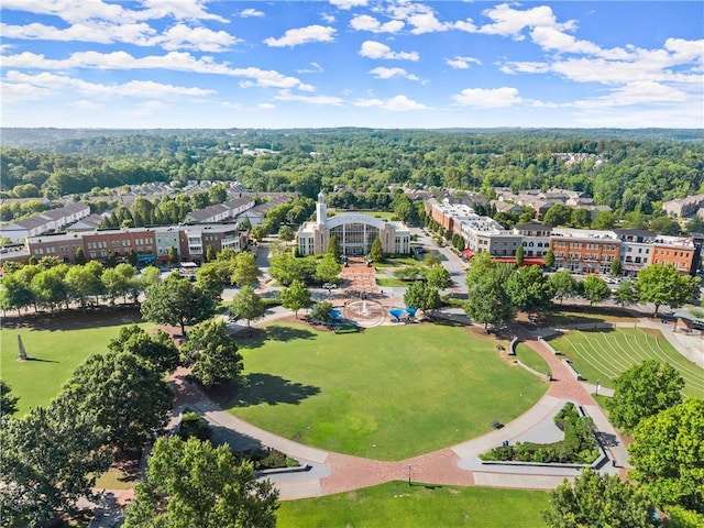 3932 Boston Common St, Suwanee, GA 30024 - drone / aerial view