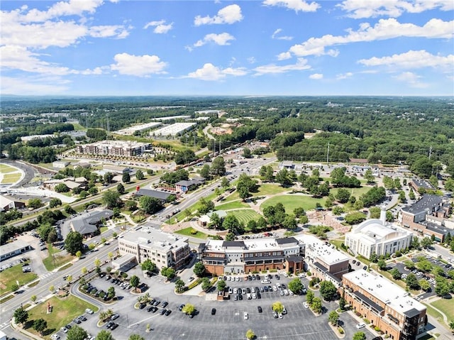 3932 Boston Common St, Suwanee, GA 30024 - bird's eye view