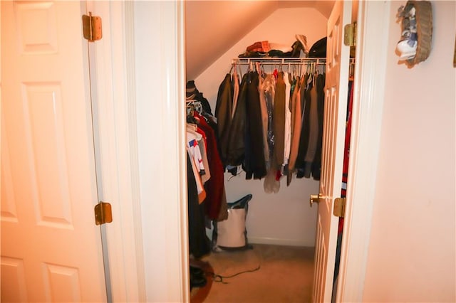 view of walk in closet