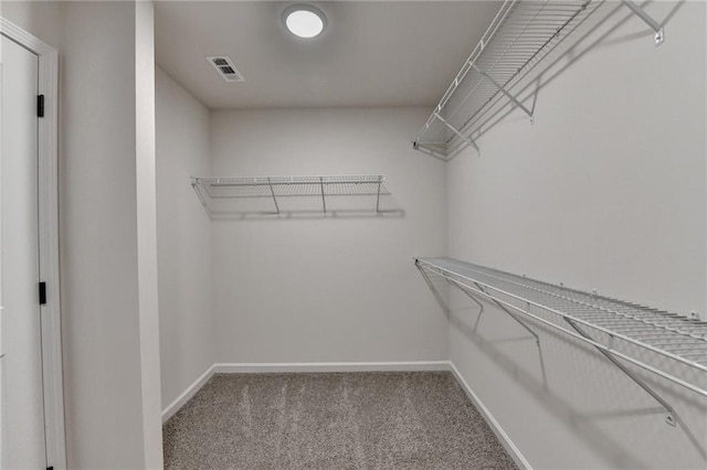 walk in closet featuring carpet flooring