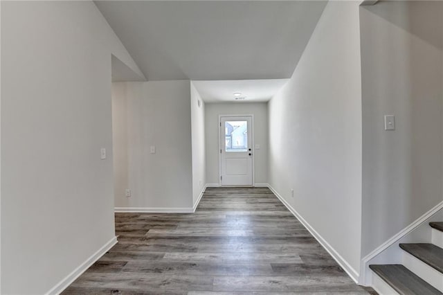 foyer entrance featuring dark wood-type flooring