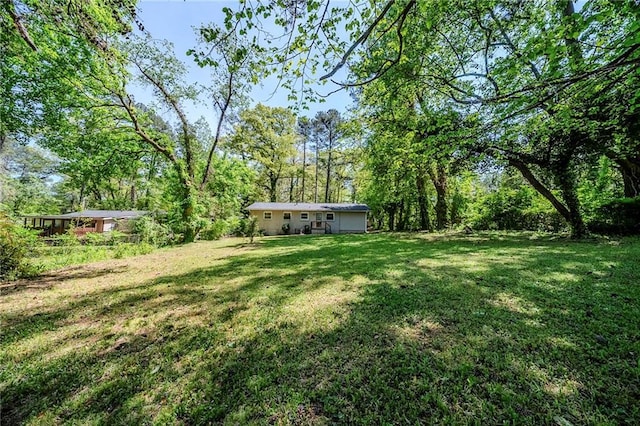 view of yard