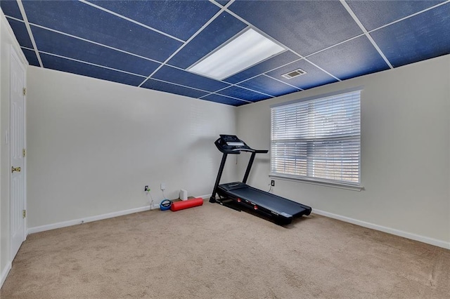 exercise area with carpet floors