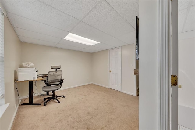 office area featuring light carpet and a drop ceiling