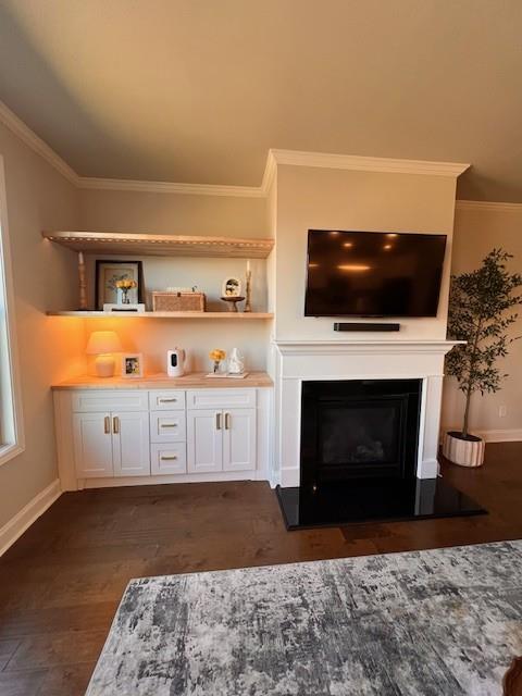 living room featuring baseboards, a fireplace, ornamental molding, and dark wood finished floors