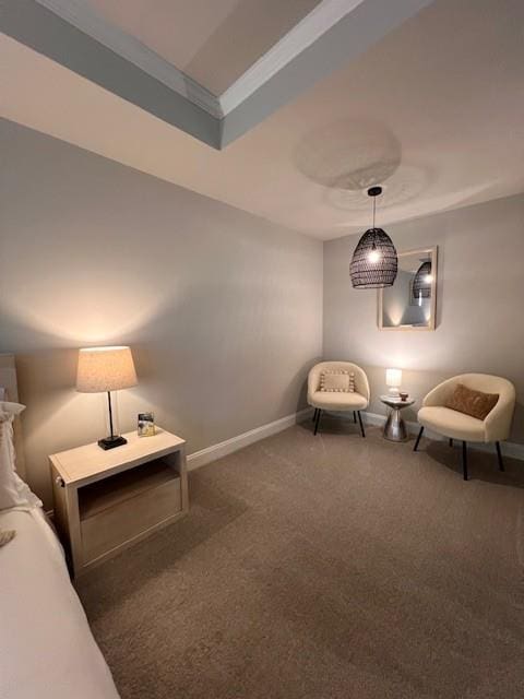 sitting room featuring carpet, baseboards, and a tray ceiling