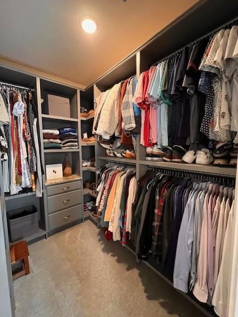 spacious closet featuring carpet flooring