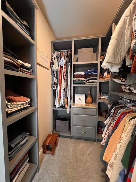 walk in closet featuring carpet