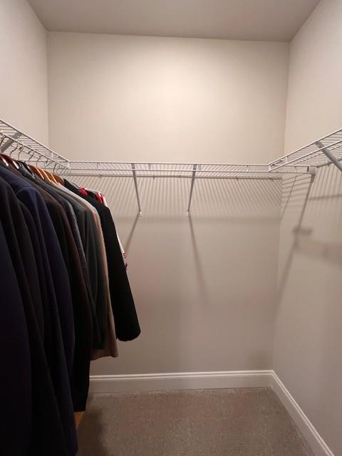 walk in closet with carpet