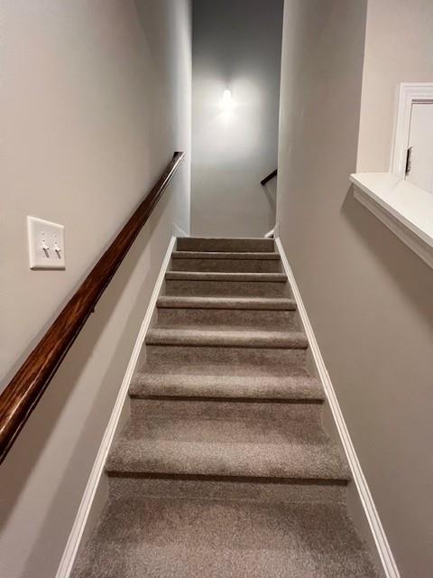 stairs with baseboards and carpet flooring