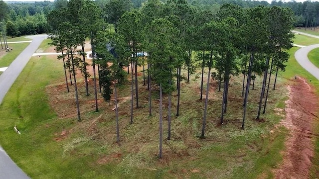 11 Bluewater Blvd, Eatonton, GA 31024