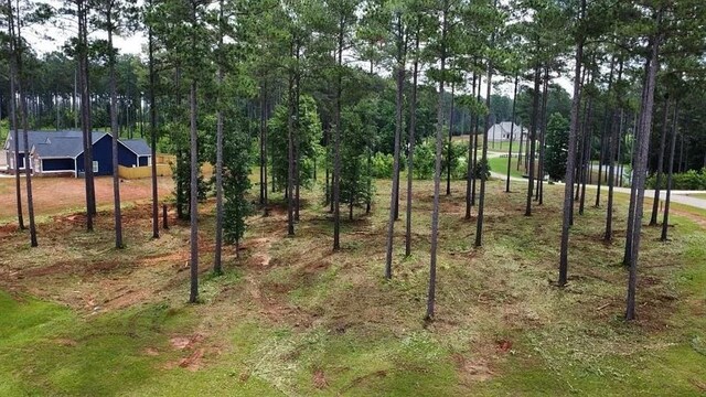 11 Bluewater Blvd, Eatonton, GA 31024