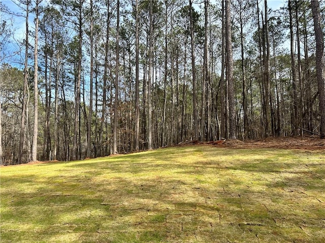 view of yard featuring a wooded view