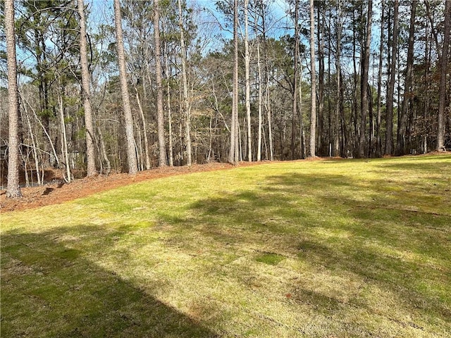 view of yard featuring a wooded view