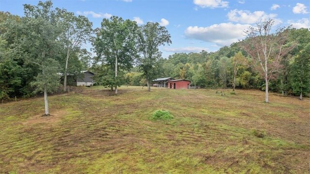 view of yard with a forest view and a rural view