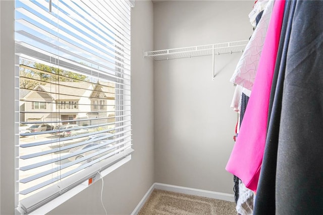 walk in closet with carpet flooring