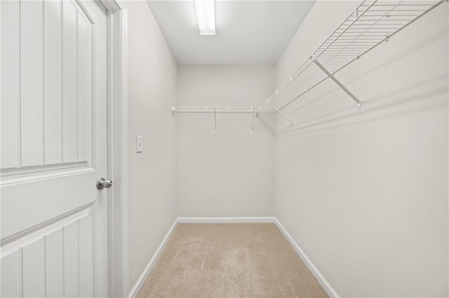 spacious closet featuring light colored carpet