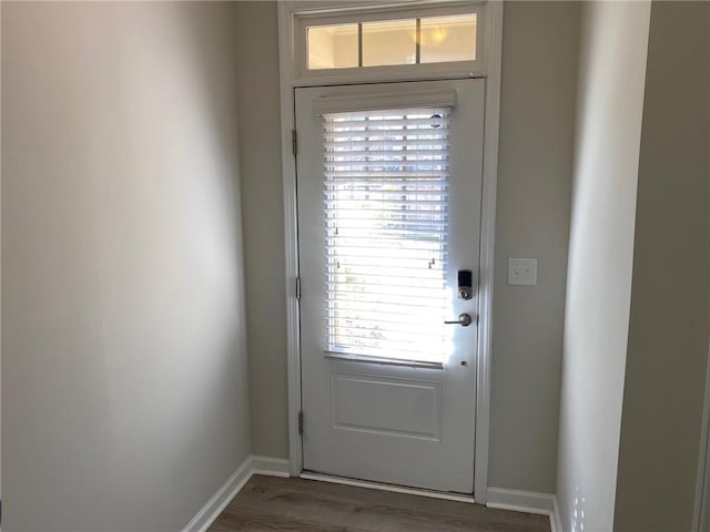 entryway featuring hardwood / wood-style floors