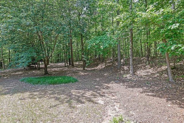 view of local wilderness featuring a view of trees
