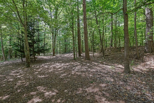 view of landscape featuring a wooded view