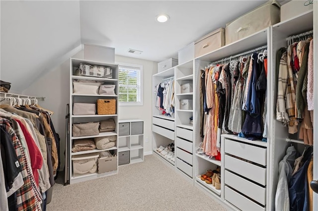 121 Bradshaw Park Dr, Woodstock, GA 30188 - walk in closet with carpet flooring and lofted ceiling
