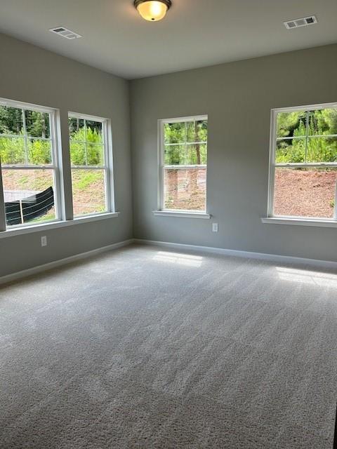 unfurnished room with carpet floors and plenty of natural light