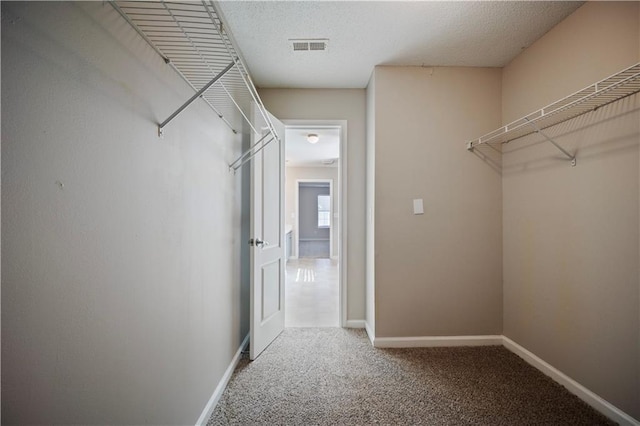 3223 Tallon Ln SW, Atlanta, GA 30311 - spacious closet with carpet floors